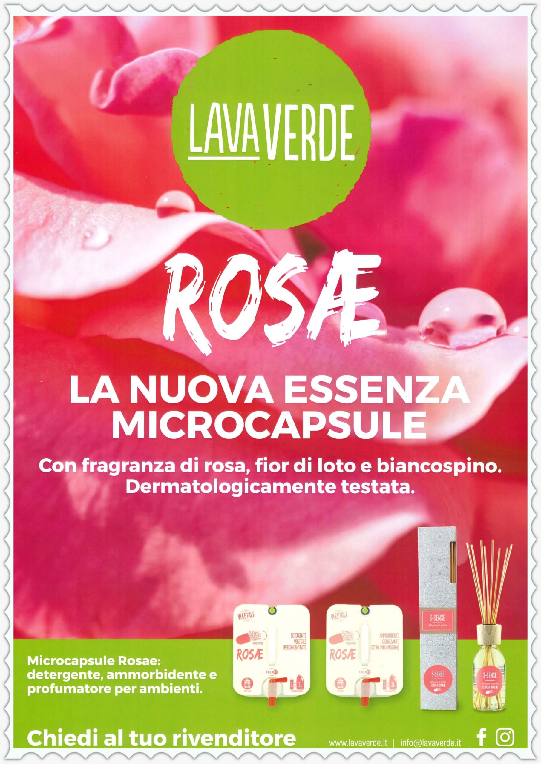 rosae_0001_Fotor